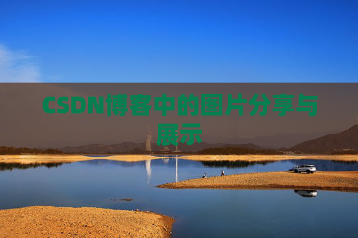 CSDN博客中的图片分享与展示